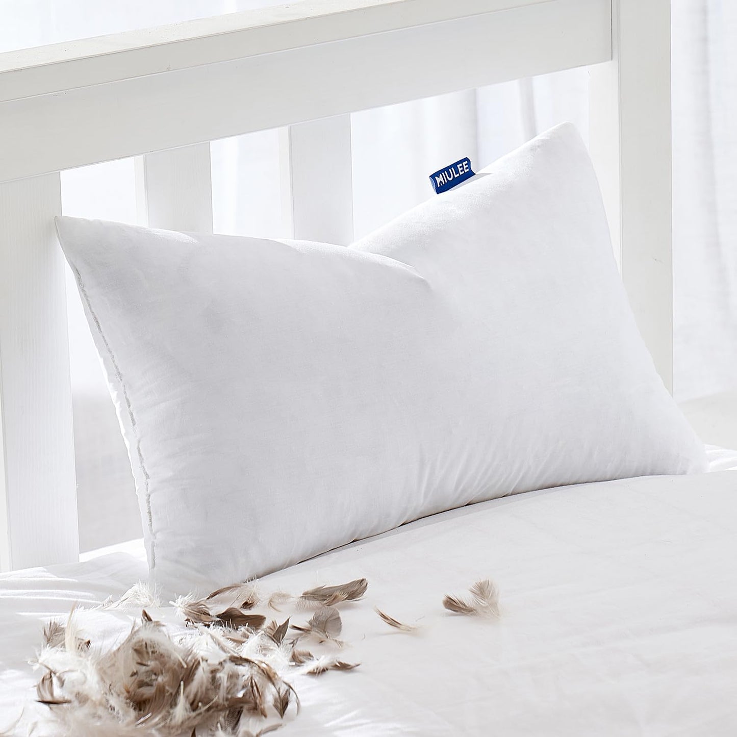 MIULEE 22x22 Pillow Inserts,Set of 2 Down Feather Throw Pillows for Couch Sofa Bed, Decorative Fluffy Throw Pillow Inserts Cotton Fabric,White